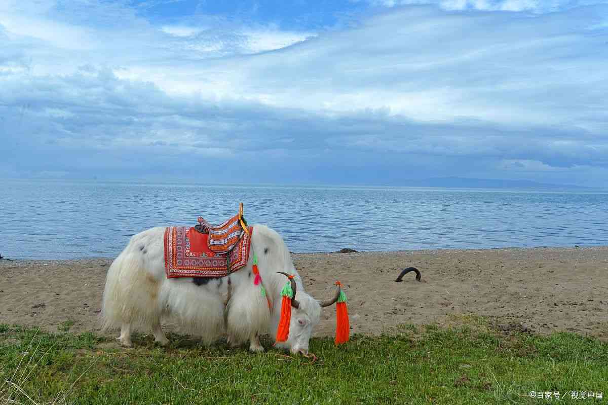 青海甘肃旅游攻略必去景点大全